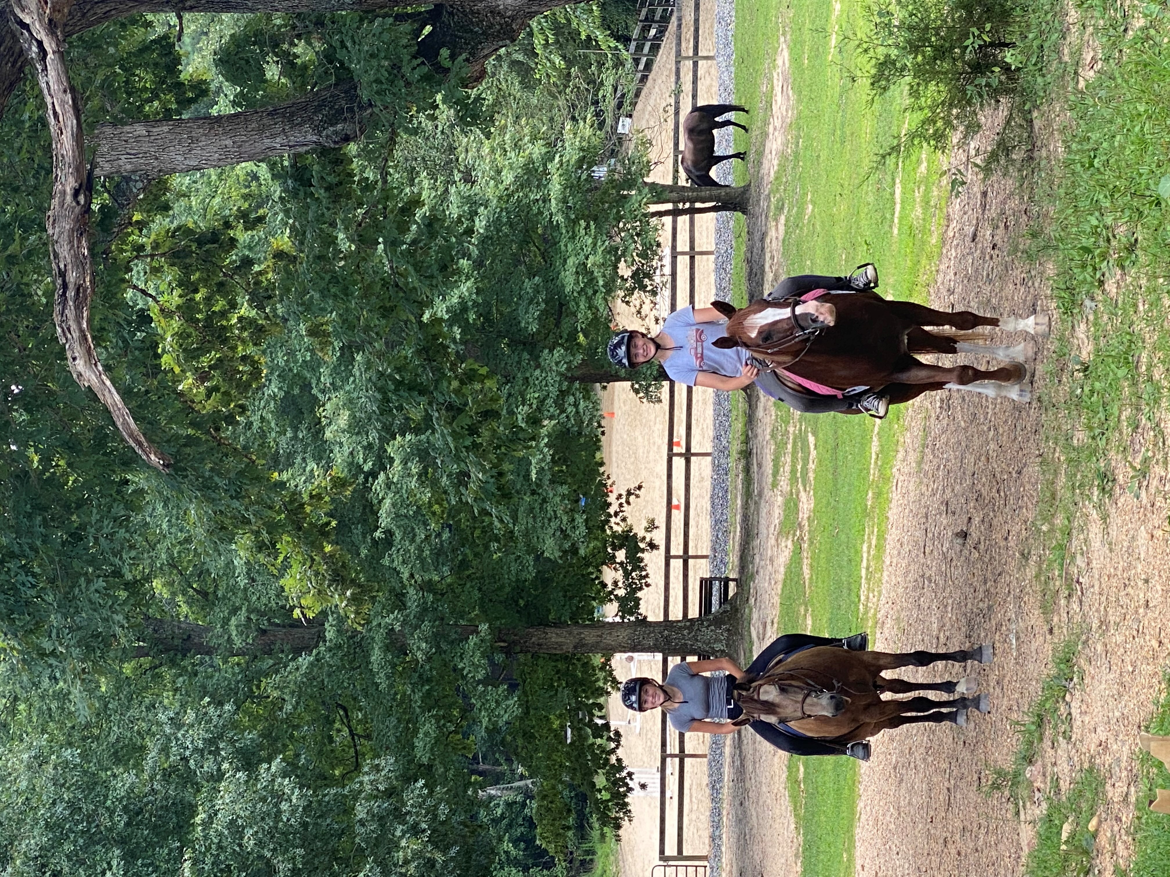 Tall Cedars Farm